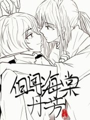 深入了解 小辣椒导航